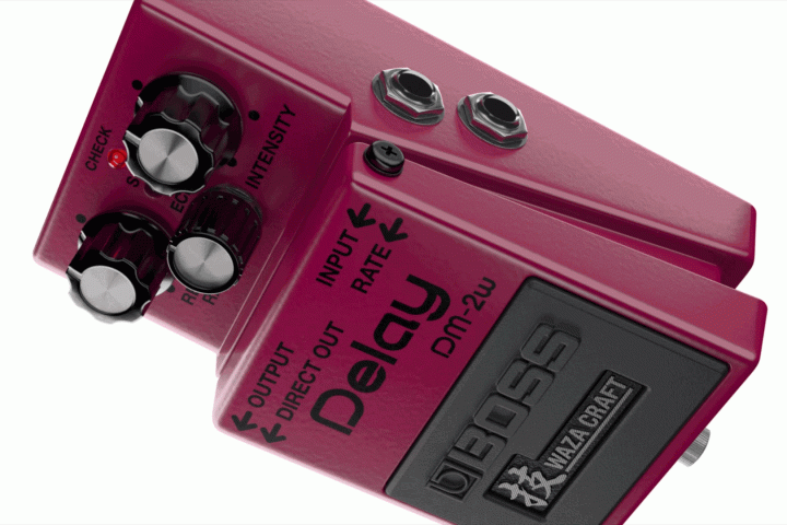 5 Reasons to Add the DM-2W To Your Pedalboard
