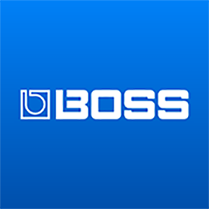 Picture of BOSS Japan