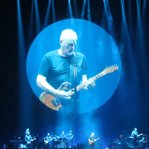 David Gilmour, Photo by swimfinfan